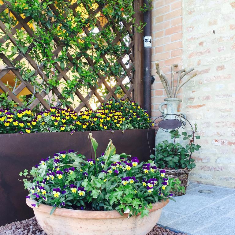 Cascina Cortine Bed and Breakfast Guarene Buitenkant foto