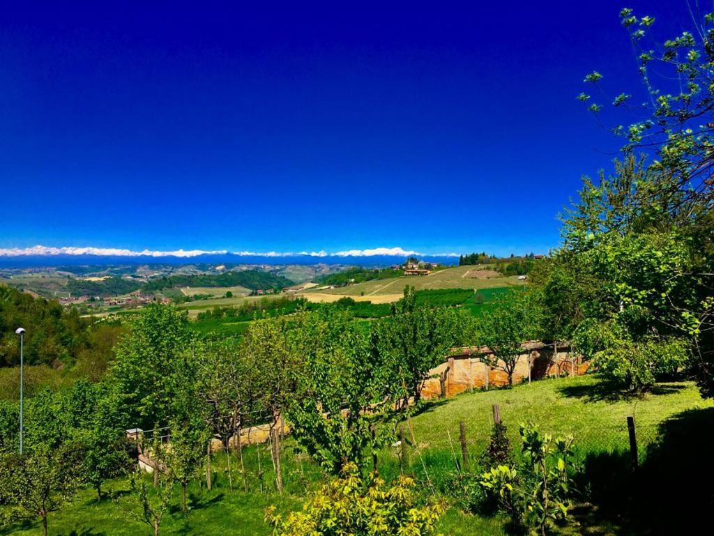 Cascina Cortine Bed and Breakfast Guarene Buitenkant foto